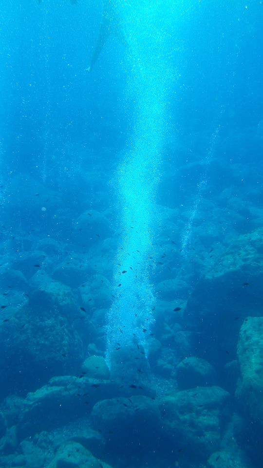 IMGP2743.jpg Panarea - solfatare - Copyright : See Otherwise 2012 - 2026